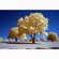 Kolari Vision IR Filter: Picture 2 thumbnail