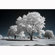Kolari Vision IR Filter: Picture 2 thumbnail