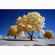 Kolari Vision IR Filter: Picture 2 thumbnail