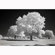 Kolari Vision IR Filter: Picture 2 thumbnail