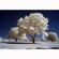 Kolari Vision IR Filter: Picture 2 thumbnail