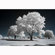 Kolari Vision IR Filter: Picture 2 thumbnail