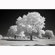 Kolari Vision Pro Slim IR Filter: Picture 6 thumbnail