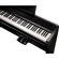 Korg B1SP Digital Piano: Picture 3 thumbnail