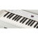 Korg C1 Air: Picture 4 thumbnail