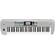 Korg i3: Picture 4 thumbnail