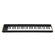 Korg Keystage: Picture 2 thumbnail