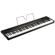 Korg L1: Picture 3 thumbnail
