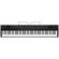 Korg L1: Picture 4 thumbnail