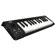Korg microKEY25: Picture 1 thumbnail