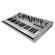 Korg Minilogue: Picture 2 thumbnail