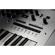 Korg Minilogue: Picture 10 thumbnail