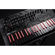 Korg Minilogue Bass: Picture 6 thumbnail