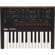 Korg Monologue: Picture 2 thumbnail