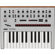 Korg Monologue: Picture 3 thumbnail