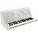 Korg MS-20 FS: Picture 3 thumbnail