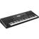 Korg PA300 61 Keys Professional Arranger