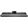 Korg Pa5X: Picture 2 thumbnail