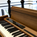 Korg Poetry: Picture 9 thumbnail