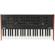 Korg Prologue 8: Picture 4 thumbnail