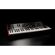 Korg Prologue 8: Picture 6 thumbnail