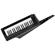 Korg RK-100S 2: Picture 7 thumbnail