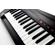 Korg RK-100S 2: Picture 4 thumbnail