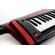 Korg RK-100S 2: Picture 4 thumbnail