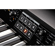 Korg SV-2: Picture 7 thumbnail