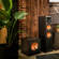 Klipsch SPL-120: Picture 6 thumbnail