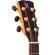 Kremona M20 Guitar: Picture 5 thumbnail