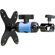 undefined undefined: Picture 1 regular