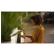 Kawai CA49: Picture 5 thumbnail