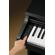 Kawai KDP75: Picture 6 thumbnail