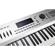 Kurzweil Artis 7: Picture 6 thumbnail