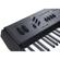 Kurzweil Artis SE: Picture 5 thumbnail