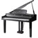Kurzweil CGP220: Picture 1 thumbnail