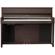 Kurzweil CUP2: Picture 4 thumbnail