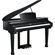 Kurzweil KAG100: Picture 4 thumbnail