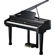Kurzweil KAG100: Picture 1 thumbnail