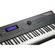 Kurzweil Forte SE: Picture 6 thumbnail