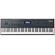 Kurzweil Forte SE: Picture 1 thumbnail