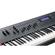 Kurzweil Forte SE: Picture 2 thumbnail