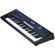 Kurzweil PC3LE6: Picture 1 thumbnail