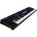 Kurzweil PC3LE8: Picture 1 thumbnail