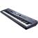 Kurzweil SP5-8: Picture 2 thumbnail