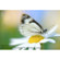 Lensbaby LBABUND Accessory Kit 0.6X Wide...: Picture 3 thumbnail