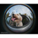 Lensbaby 5.8mm f/3.5: Picture 4 thumbnail