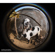 Lensbaby 5.8mm f/3.5: Picture 5 thumbnail