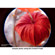 Lensbaby Control Freak: Picture 2 thumbnail